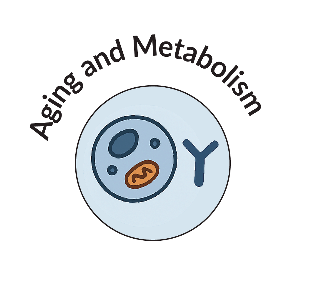 AGING AND METABOLISM